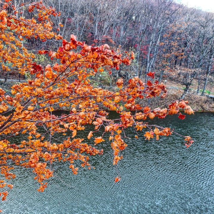 осень