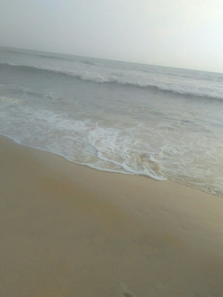 Amazing Nature