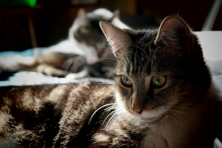 George