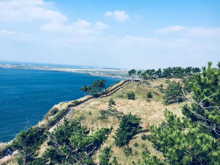 송악산