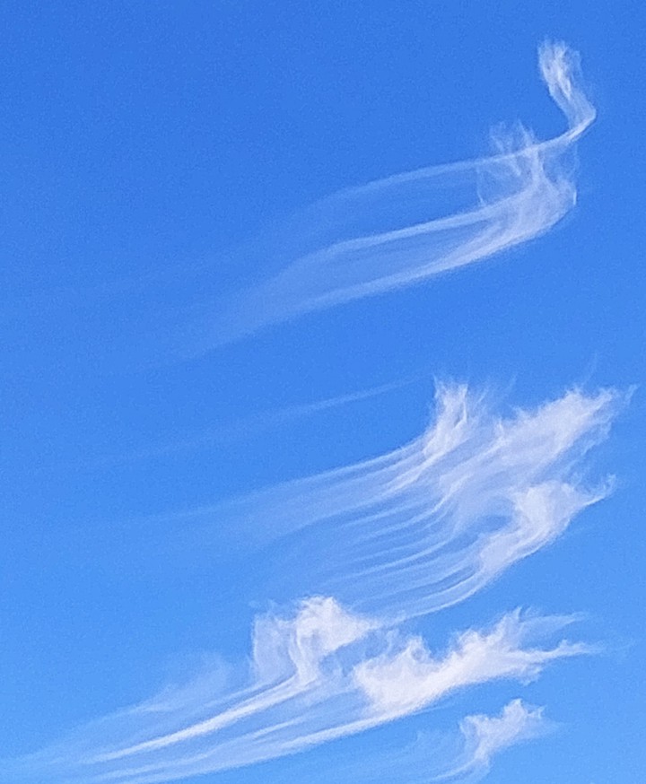 skyjune