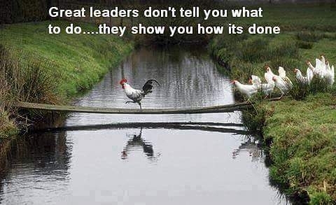 be a leader