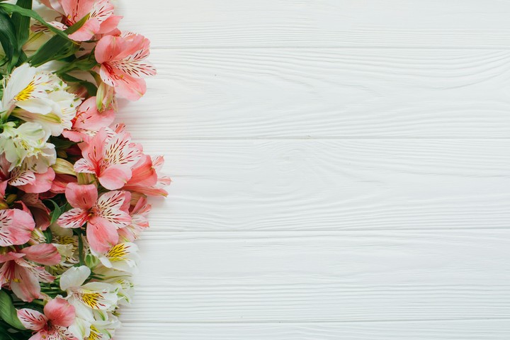 flowers