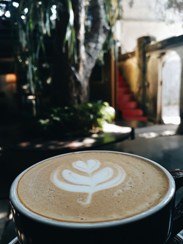 coffer & comfy