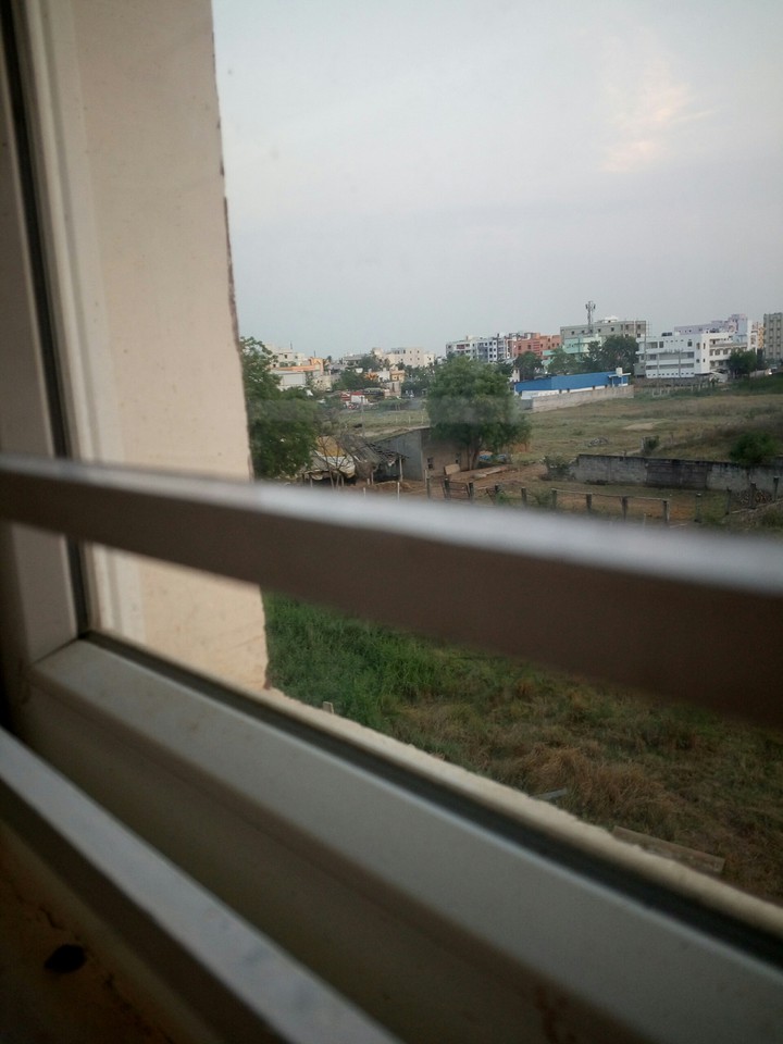 Trying to improve my camera skills during quarantine.