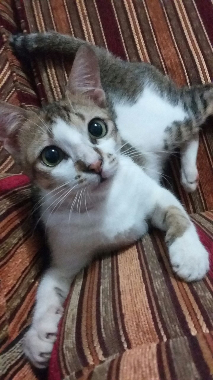 Playing