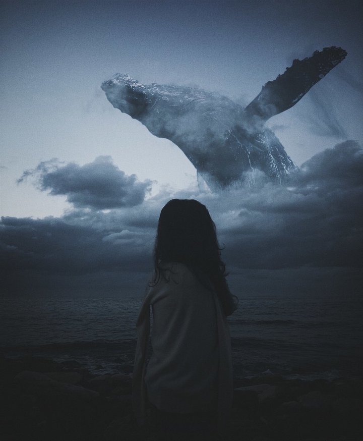 Whale in the sky