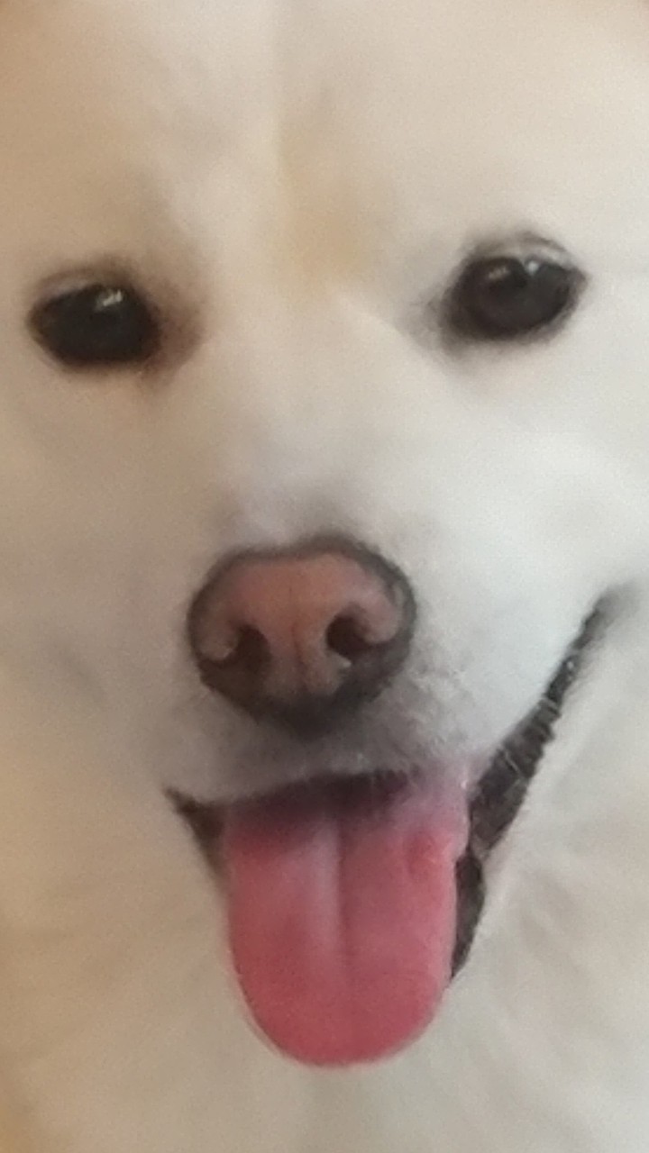 ㄹ