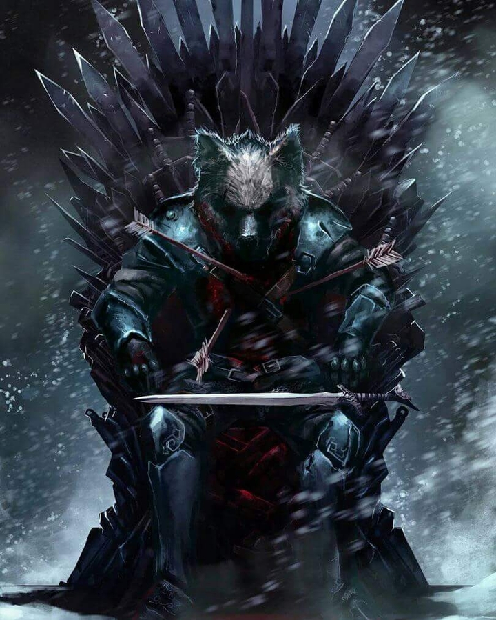 King In The North