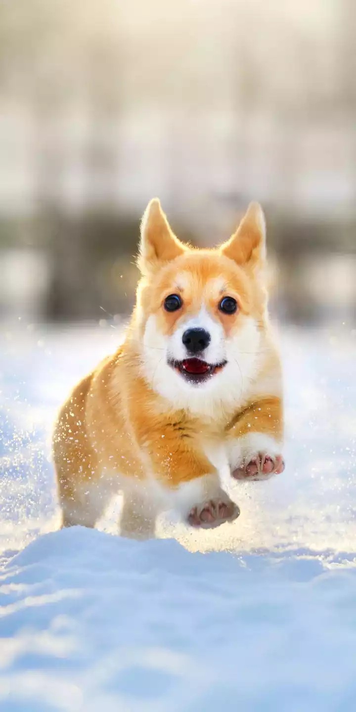 run now....