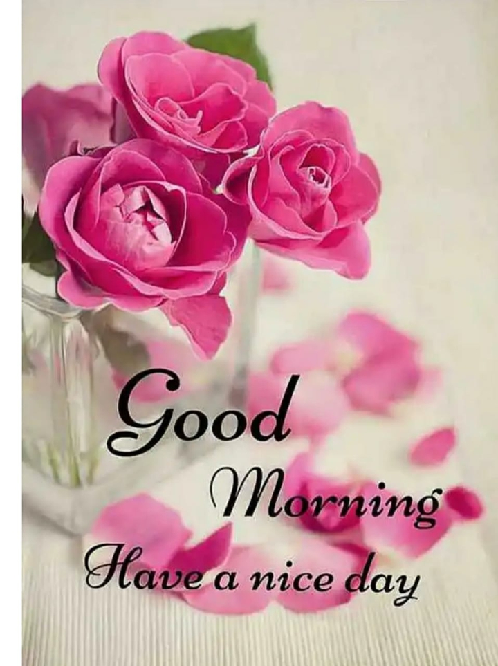 #good morning #have a nice day