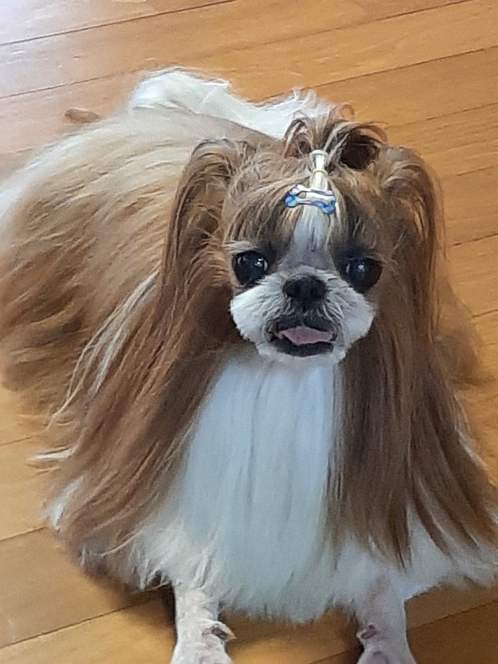 SOONDOL 2021