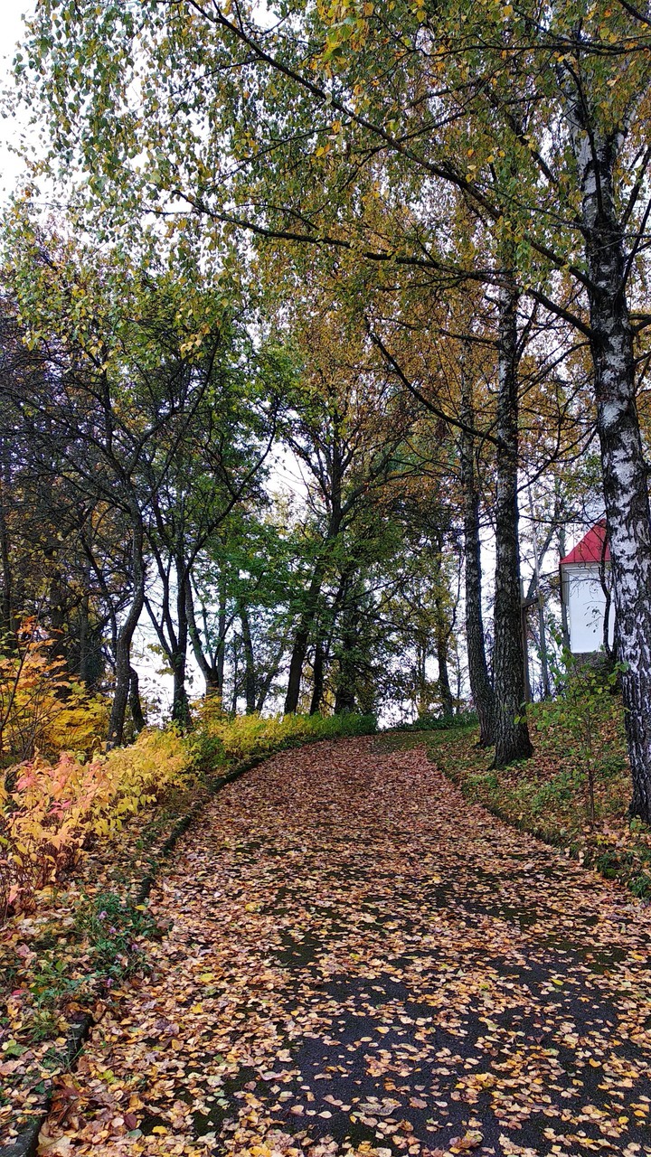 Autumn again