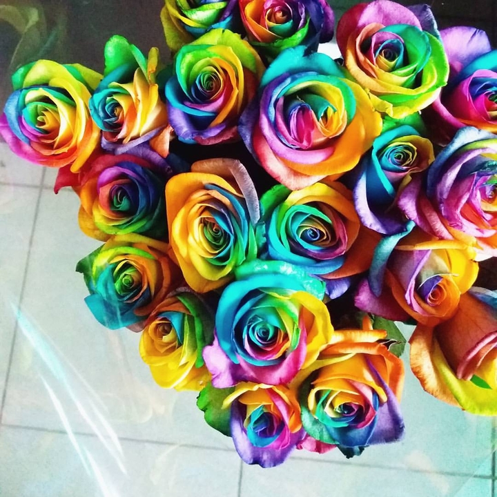 Roses