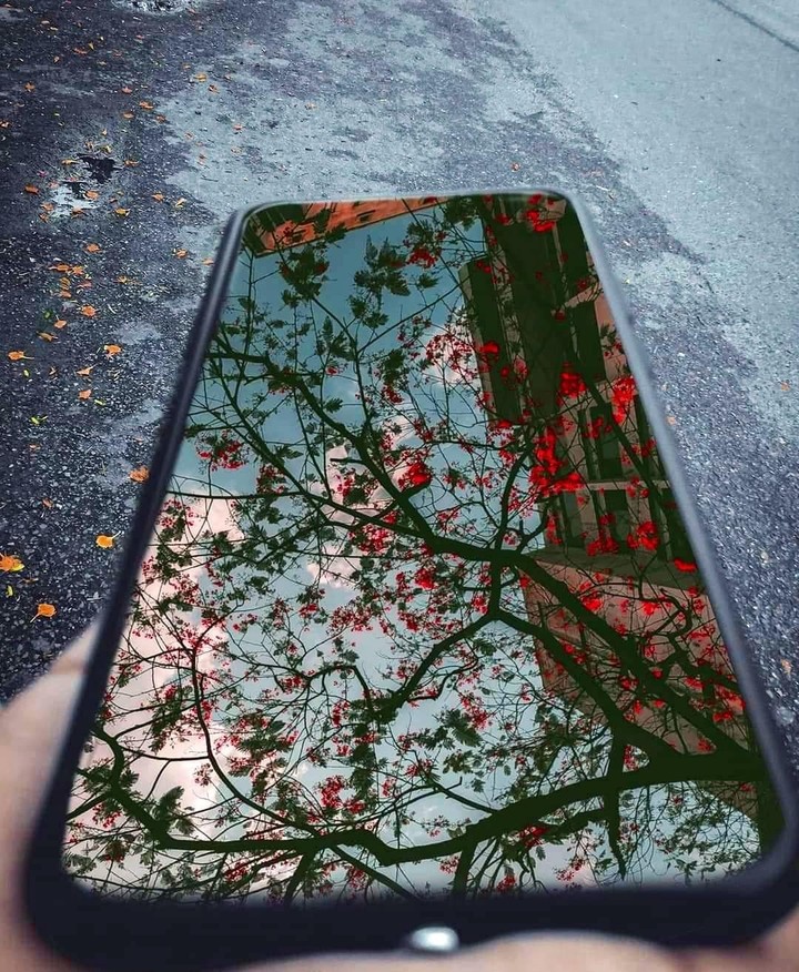 .