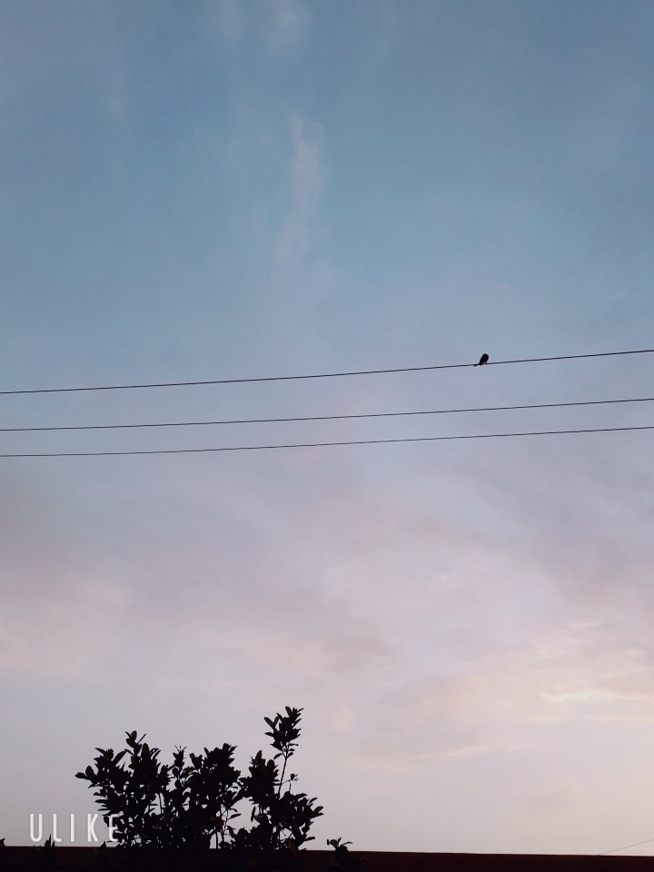 lonely