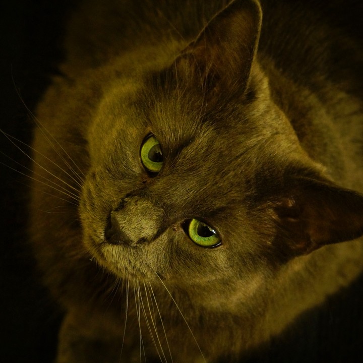 look at me...