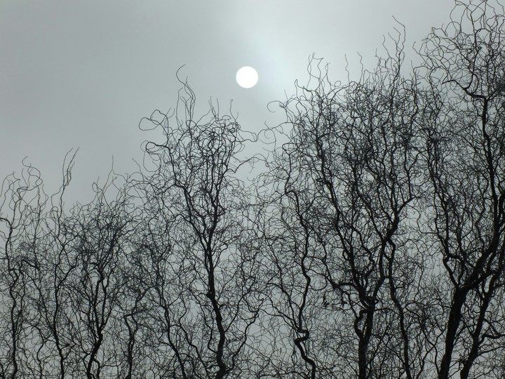 Sun behind clouds