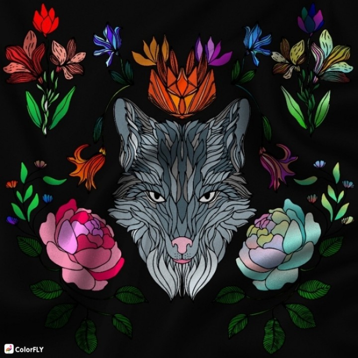 Wolf