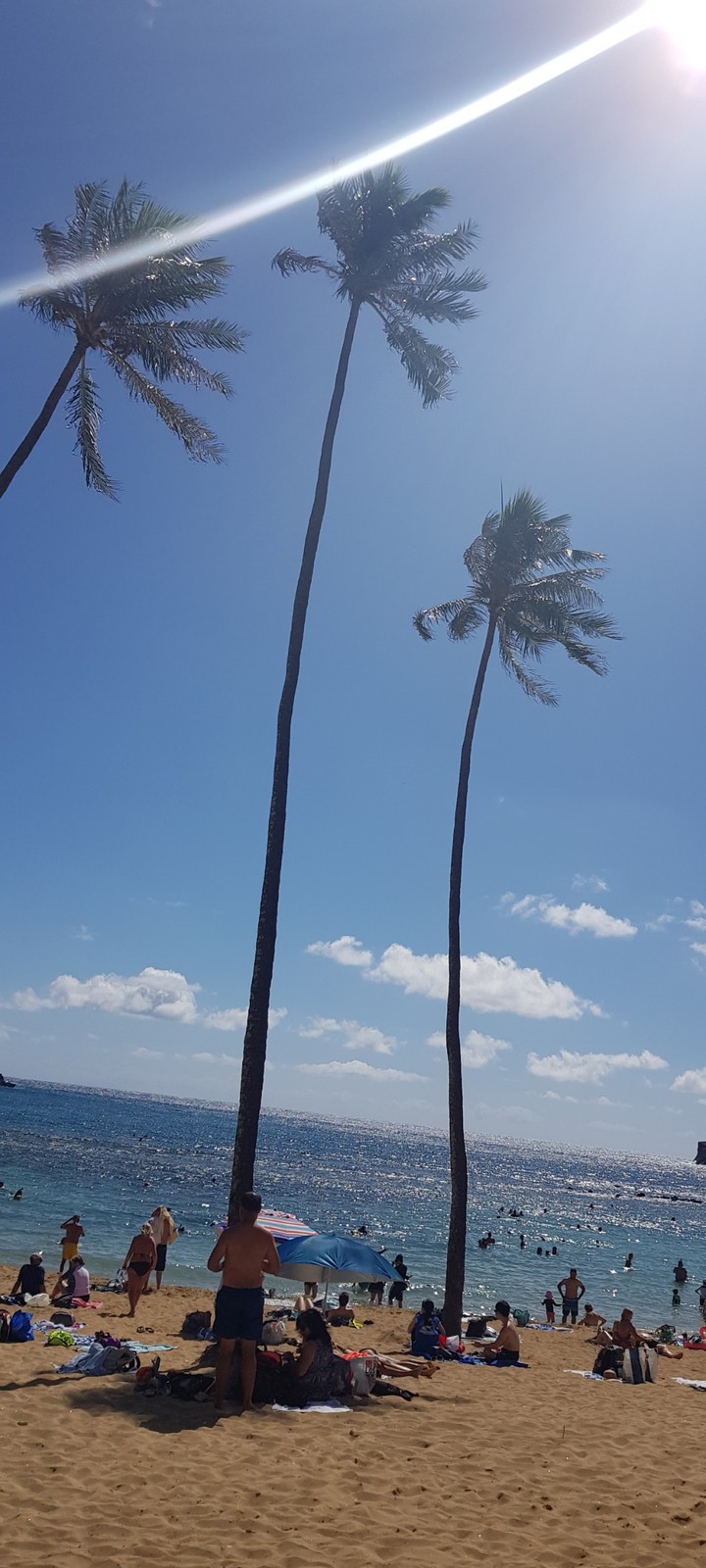 해변