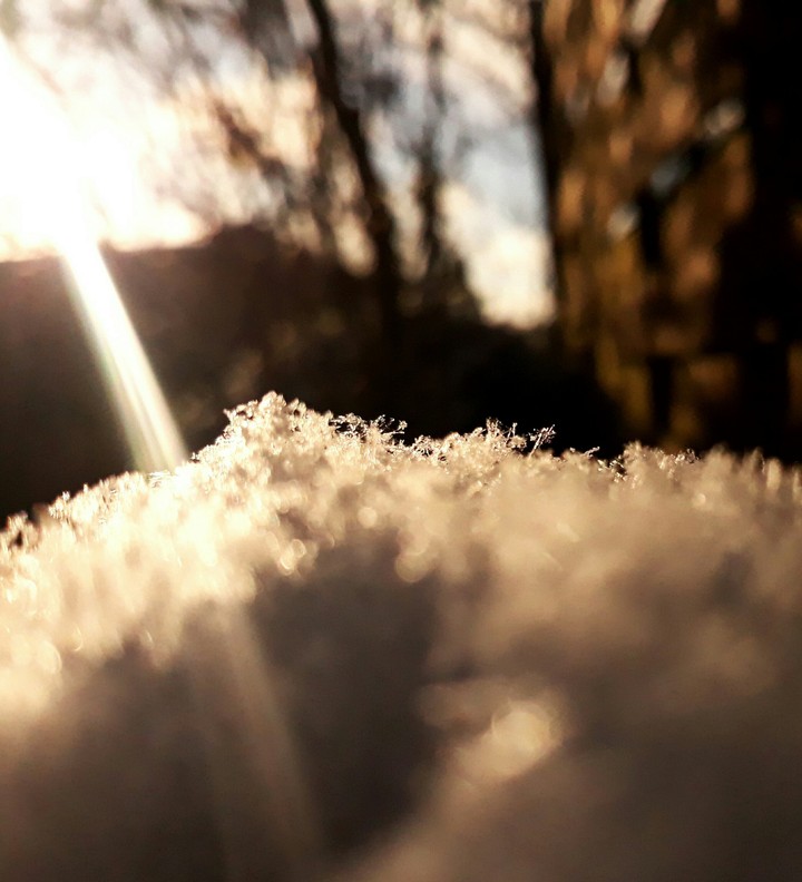 #sun#winter#snow#picoftheday#passion