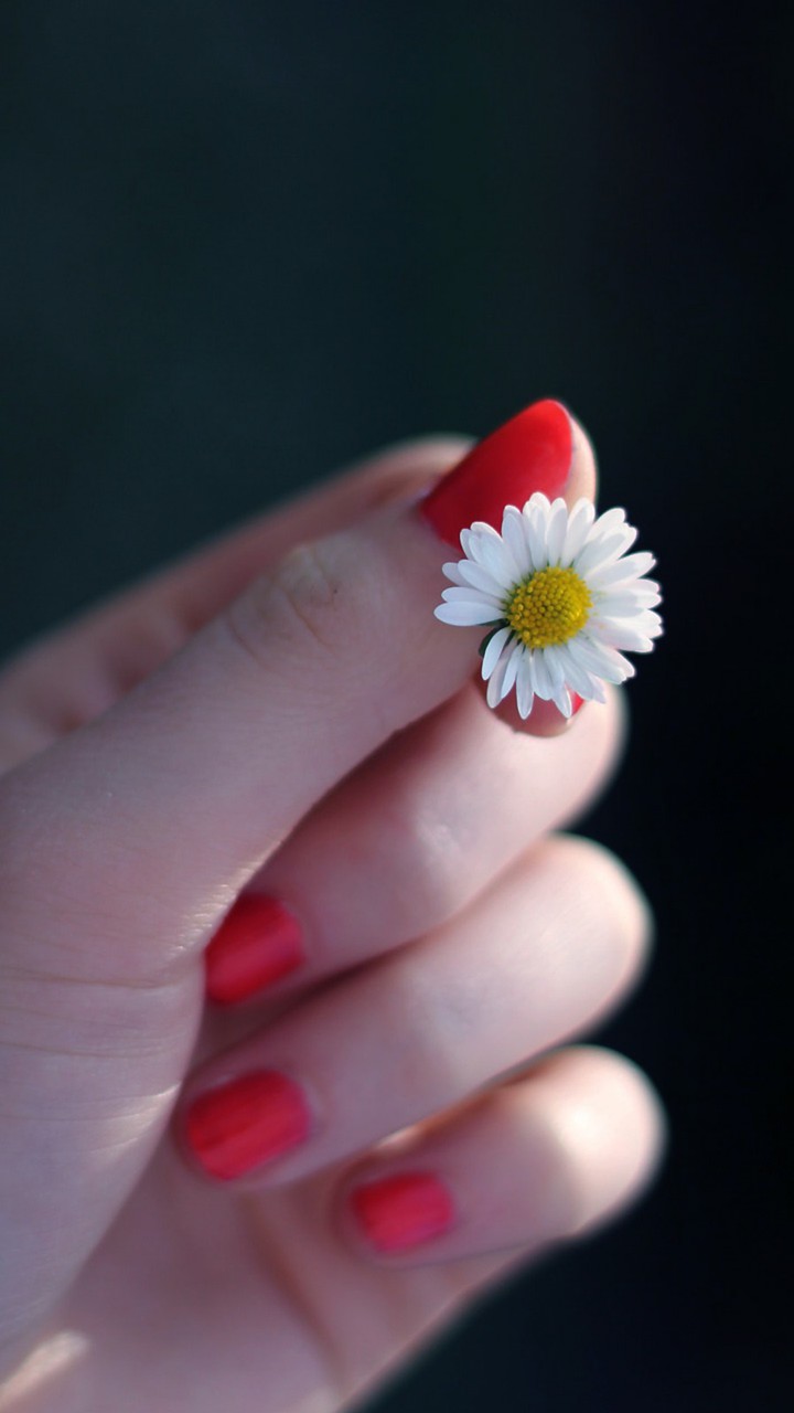 aesthetic flower