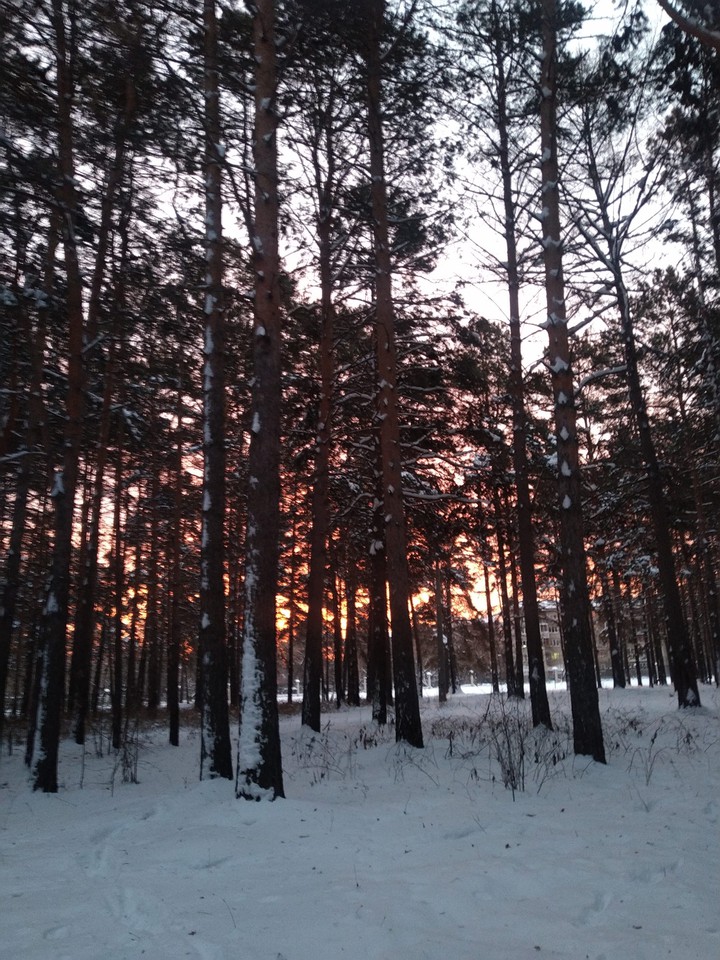 восход