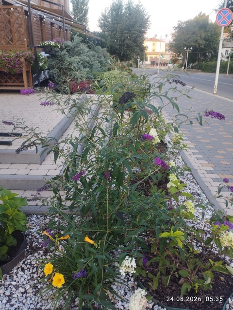 sfondi floristry, Garden