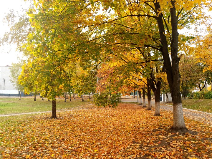 autumn