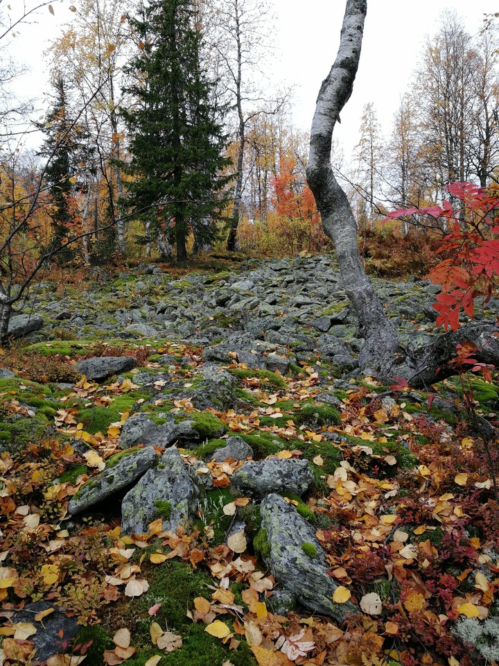 осень