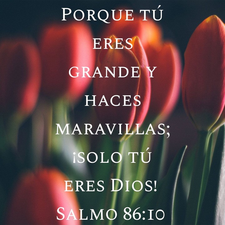 Biblia