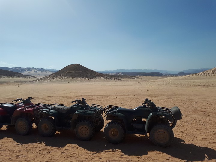 Sinai desert