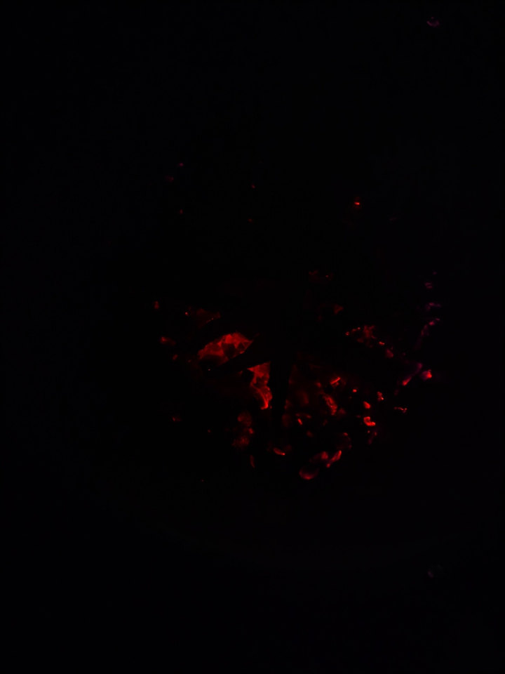 burning coal