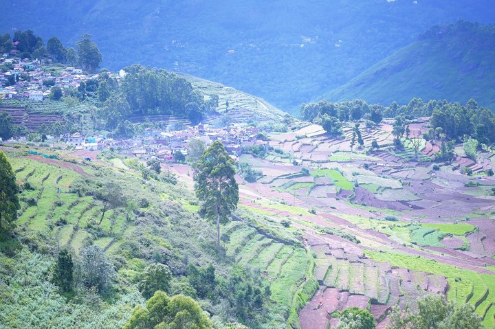Kodaikanal
