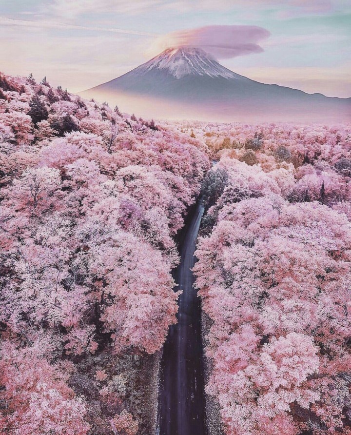 Beautiful
