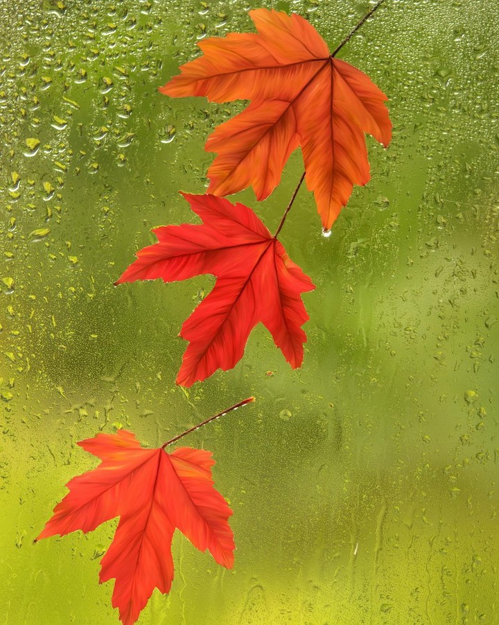 Fall