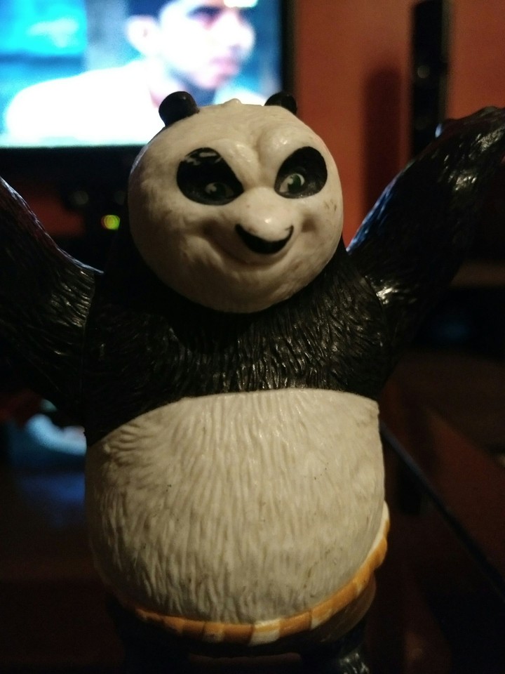 panda