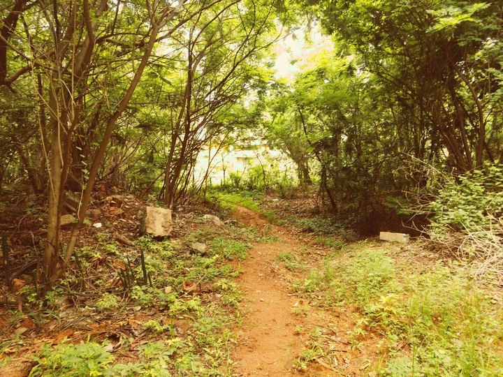 way to heaven
