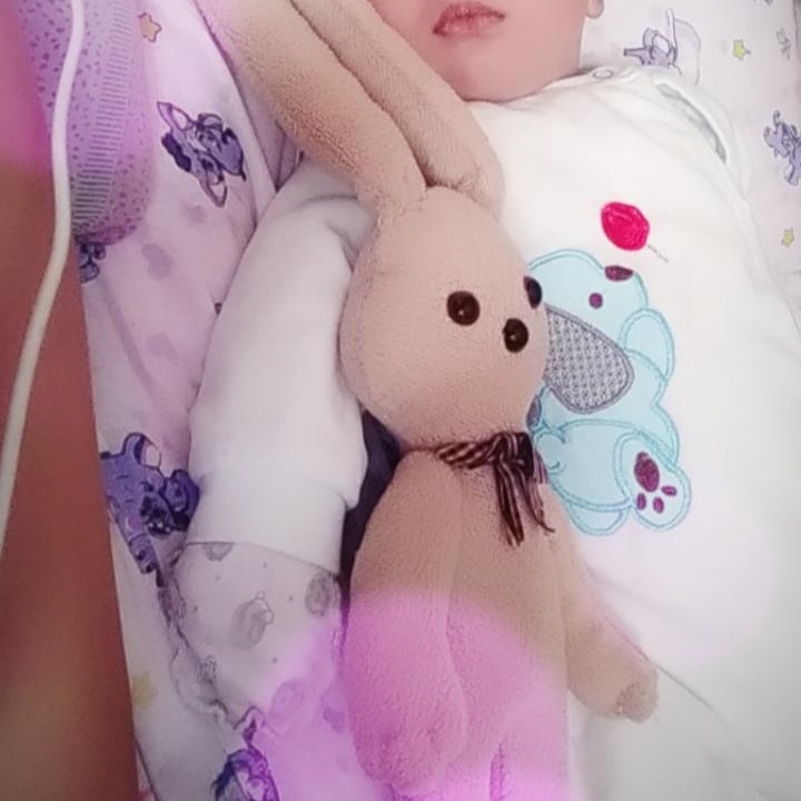 bebi