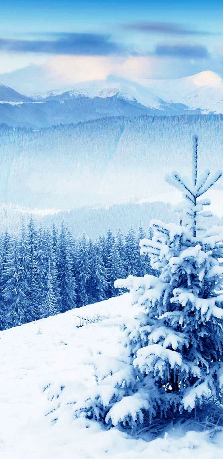 winter