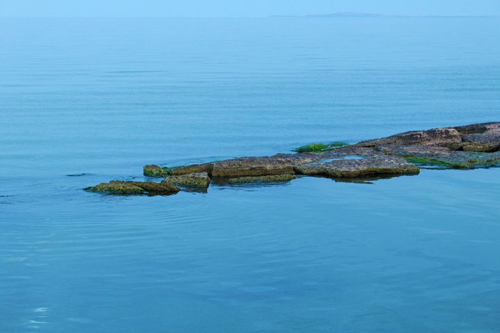 Rocks- the ocean flowers