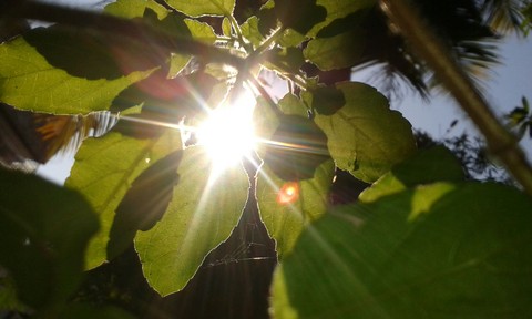 sunshine