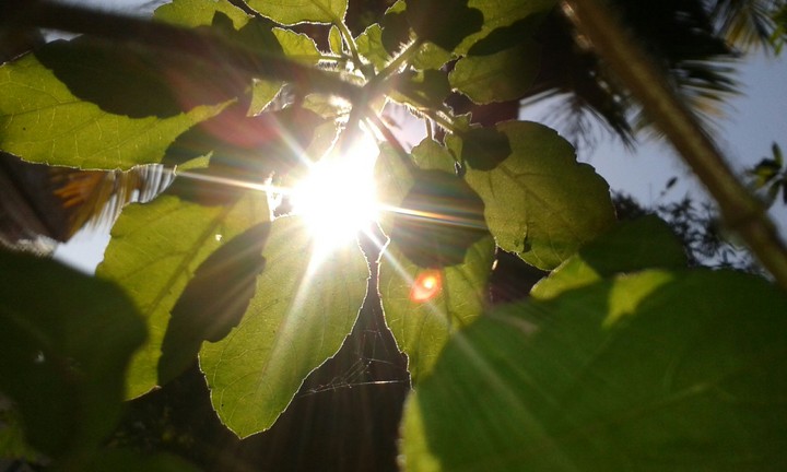 sunshine