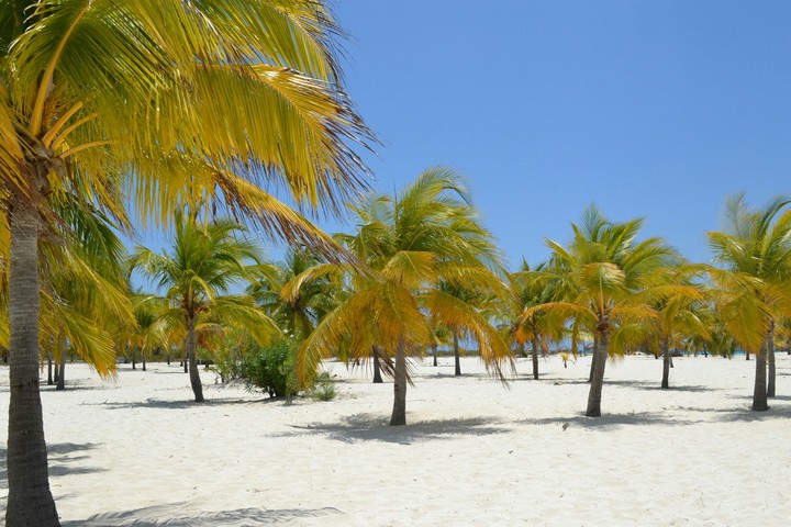 Beach