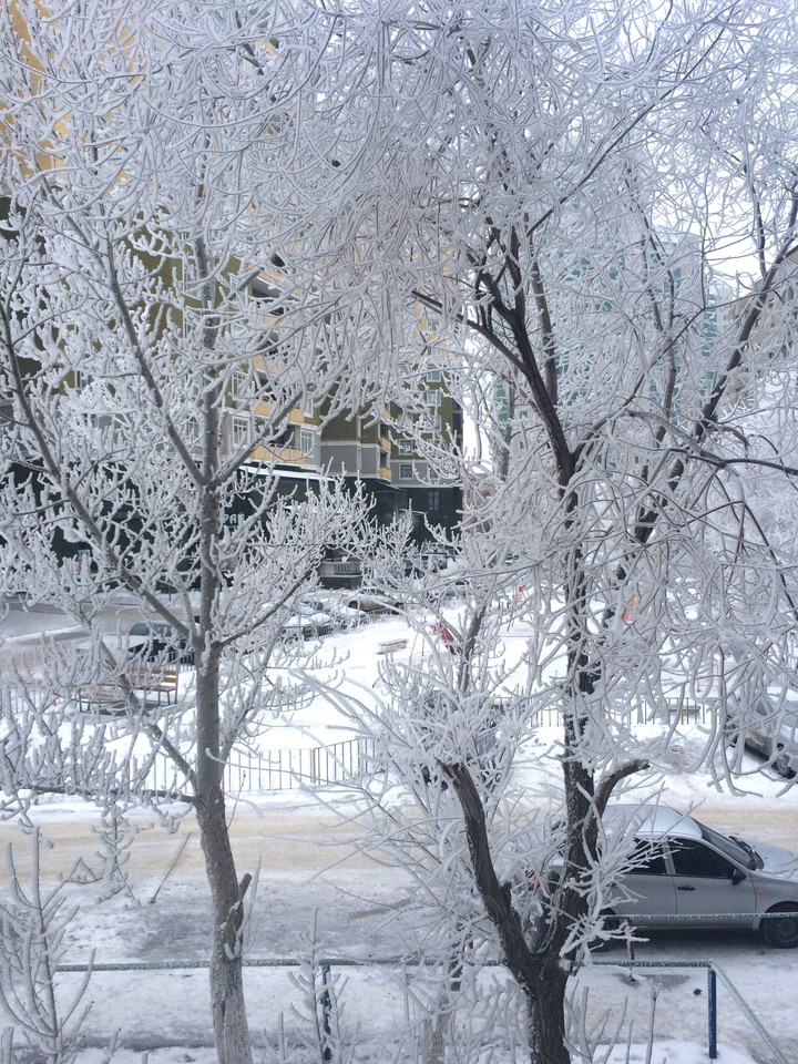 морозное утро