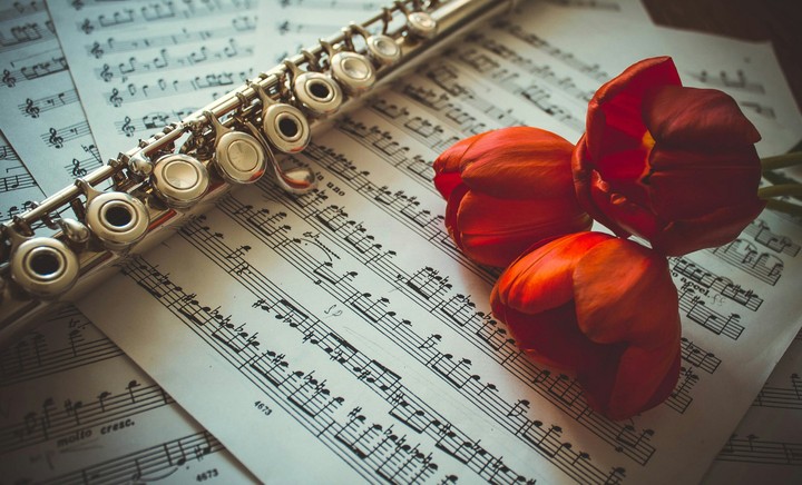 music and tulip