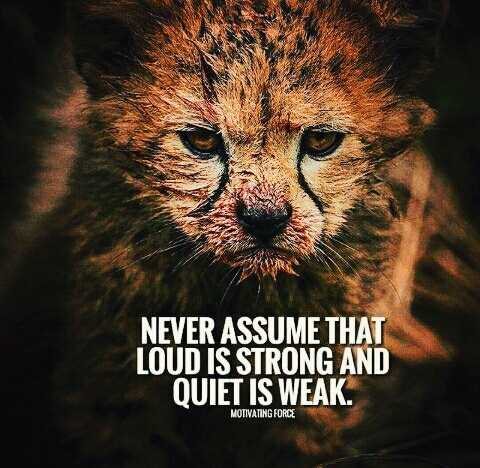 Lessons of Life
