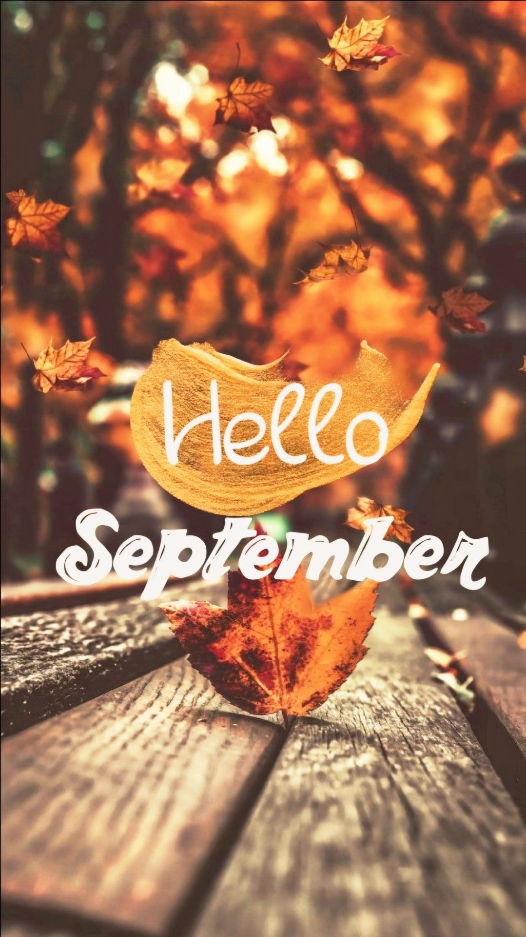 ☆ HELLO SEPTEMBER ☆