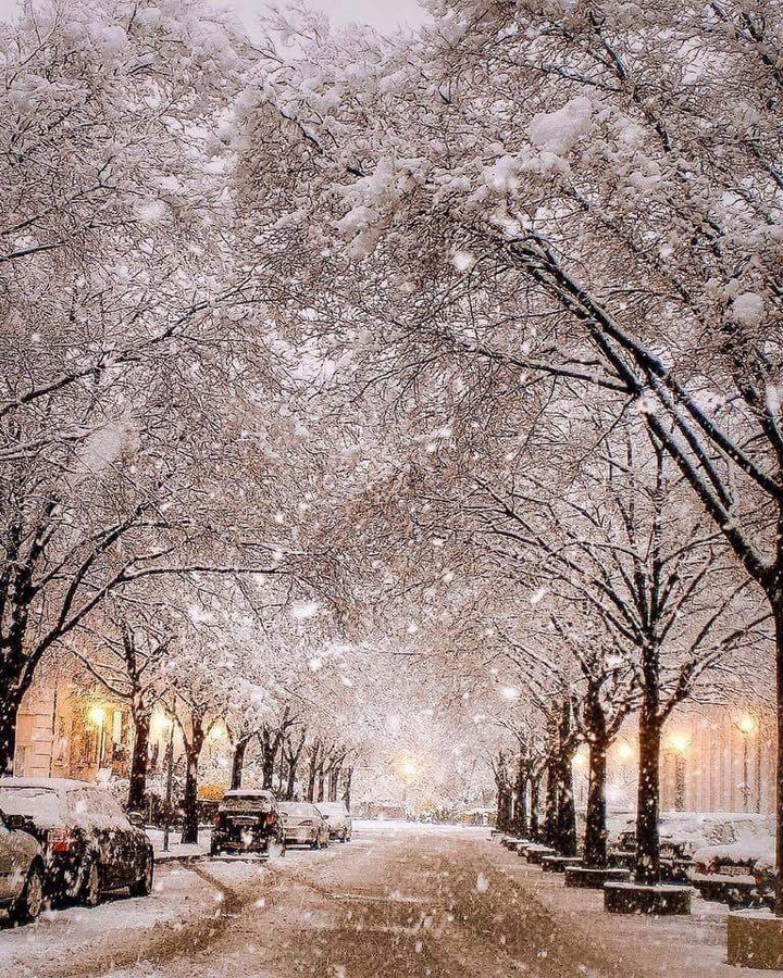 Winter's First Snowfall