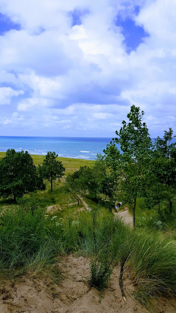 Indiana Dunes